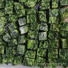 Frozen Bqf Vegetable Block Spinach